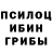 Галлюциногенные грибы мухоморы Portia Qhina