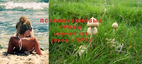 твердый Абаза