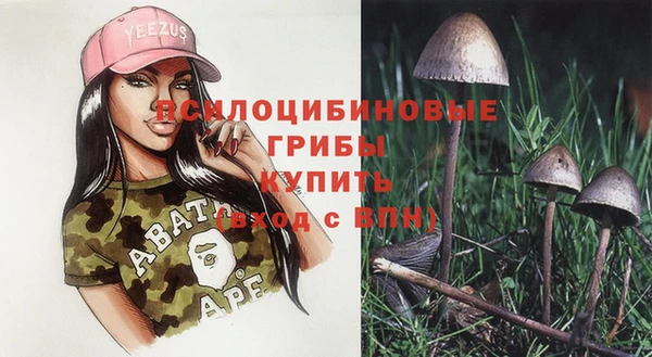ECSTASY Абдулино